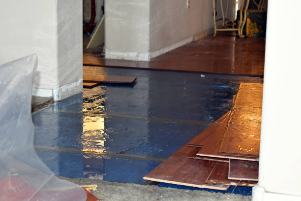 Professional Crawl Space Water Removal technician working in Hanson, MA